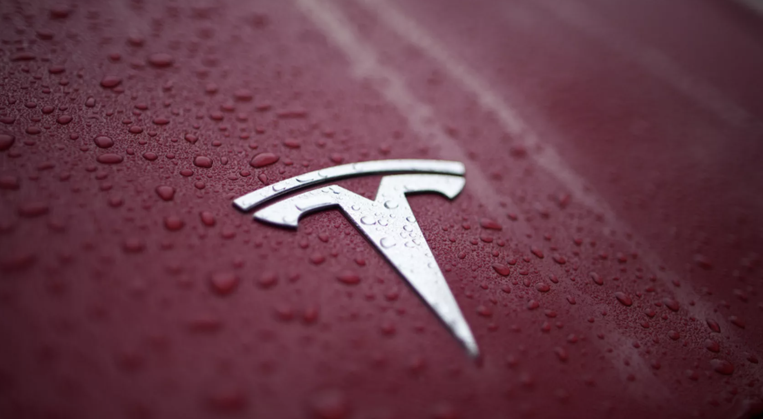 Tesla to Finally Enter India? Begins Hiring in India After Modi-Musk Meeting