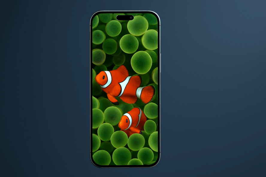 iPhone 17 Air Display Size Decoded from iOS 26 Beta