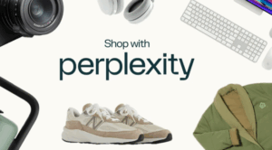 Perplexity AI Shopping Assistant