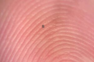 World’s Smallest Robot Is Here — And It Can Think, Swim, and Decide on Its Own