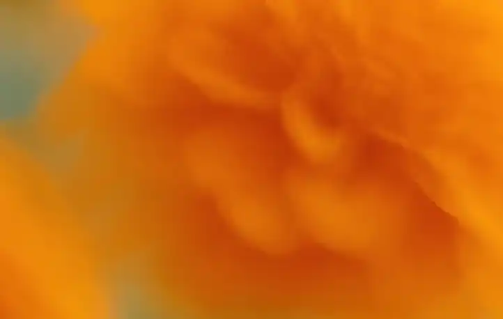 OpenAI for India: Partnership with Tata Group Targets Scale, Skills, and Enterprise Adoption